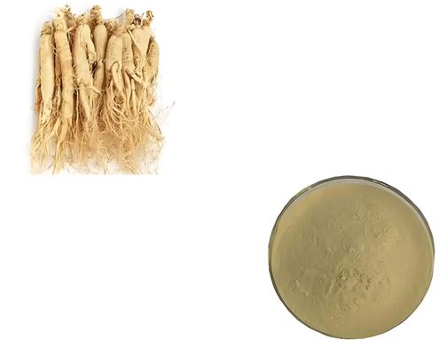 Anti-Osteoporotic Ginsenoside Rg3 For Functional Food Ingredients