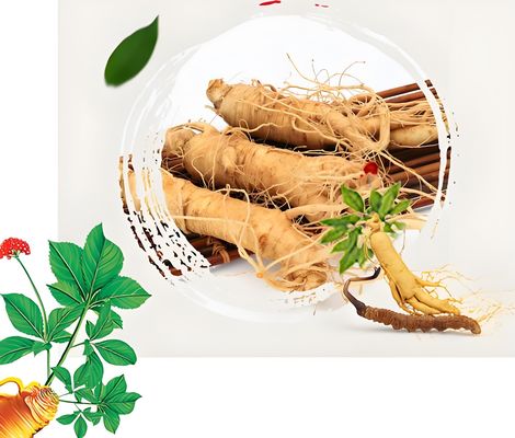 Anti-Osteoporotic Ginsenoside Rg3 For Functional Food Ingredients
