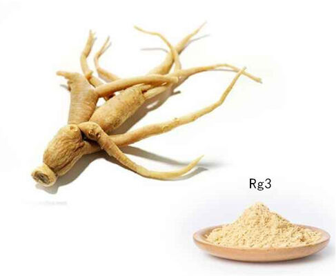 Anti-Cancer Ginsenoside Rg3 Ginseng Extract Powder 50% Purity