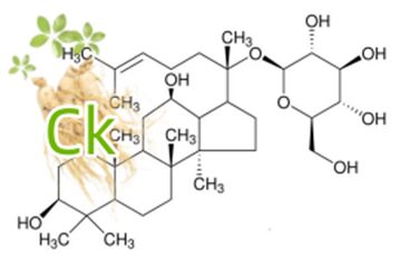 High Purity Hundred Year Old Ginsenoside CK Medicinal Excipient