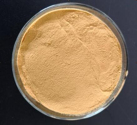 Chitosan oligosaccharide supplement for body joint discomfort