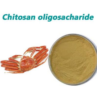 Decomposition Chitin Chitosan Oligosaccharide Powder Feed 90 Purity