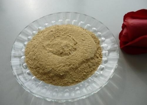 Antifreeze Agricultural Chitosan Oligosaccharide COS Chitin Powder