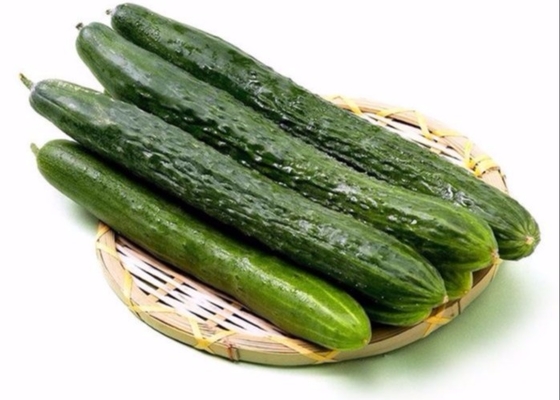 Powdery Mildew Prevented Water Soluble Chitosan Oligosaccharide Agriculture Biopesticide