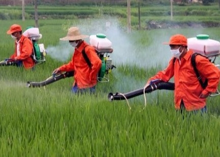 90 700DA Chitin Chitosan Oligosaccharide For Plants Reducing Pesticide Residues