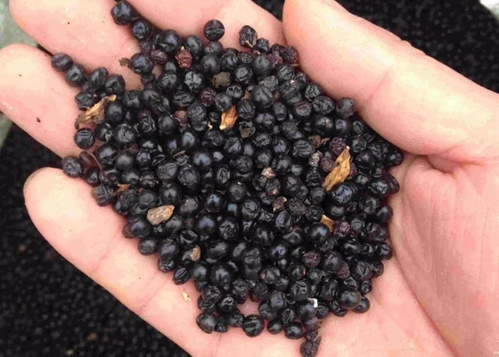 Agricultural Grade Chitosan Oligosaccharide For Plants Seed Coating Agent