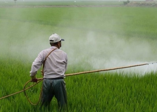 148411 57 8 Pesticide Chitosan Oligosaccharide For Plants Insecticide Agriculture