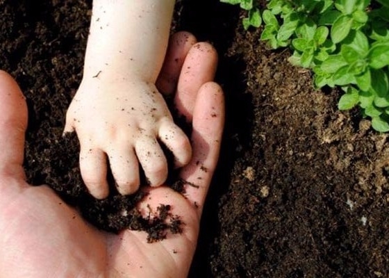 Soil Conditioner Hydrolyzed Chitosan Oligosaccharide For Plants Growth Enhancer