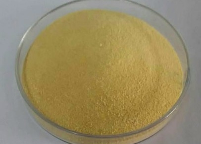 High Active Water Soluble Feed Chitosan Oligomer Laying Amount Improved
