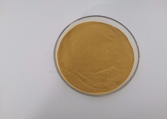 Lmwc Hydrolysis Of Chitin Oligosaccharide Degradation Anti Inflammatory