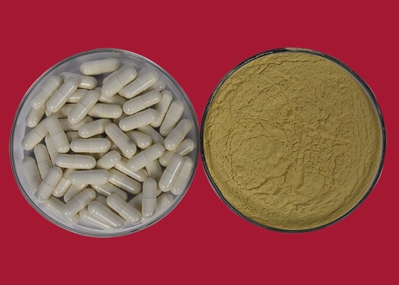 Healthcare Water Soluble Hydrolysis Of Chitin Product Food Chitosan Oligosaccharide
