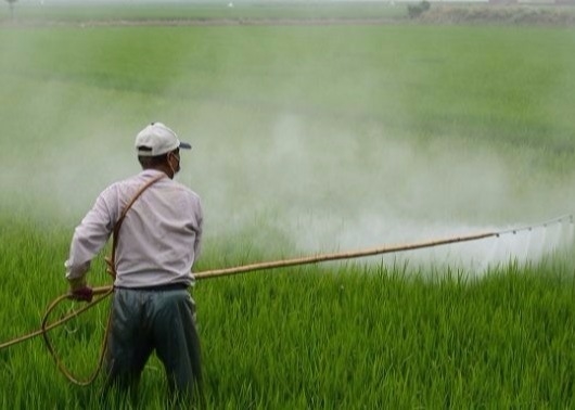 Agricultural Water Soluble Chitosan Powder Amino Oligosaccharide antiviral