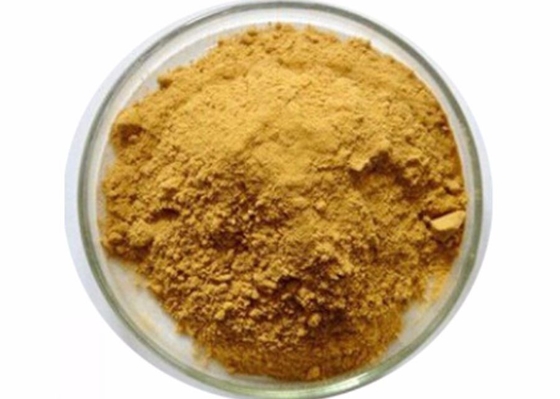 Hydrolysis Of Chitin Chitosan