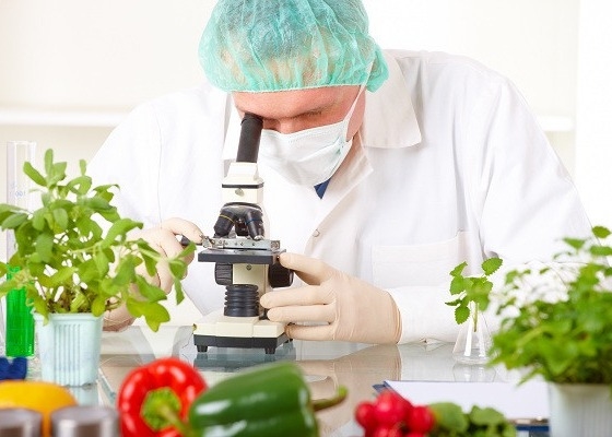 Water Soluble Chitosan Oligosaccharide Pure Ecological Preparation
