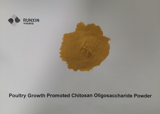 Poultry Growth Promoted Chitosan Oligosaccharide Powder 700DA Molecular