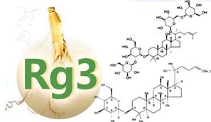 High Purity Food Grade Anti-Fatigue Ginseng Extract Ginsenoside Rg3 Herbal Saponins Powder