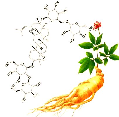 High Purity Hundred Year Old Ginsenoside CK Medicinal Excipient