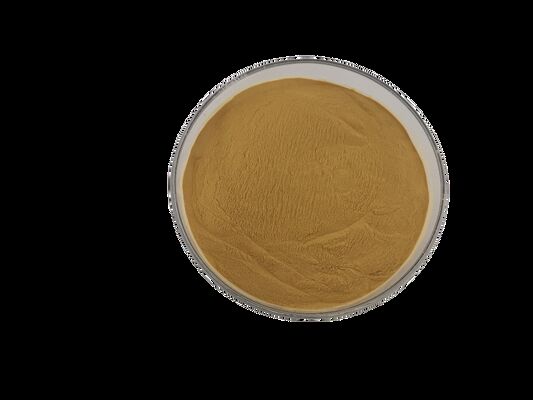 Exclusive Patented Process For Food Grade Ginsenoside CK Anti-Aging Factor