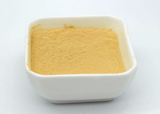 99 Water Soluble Chitosan Powder Calcium Absorption Bone Health 148411-57-8